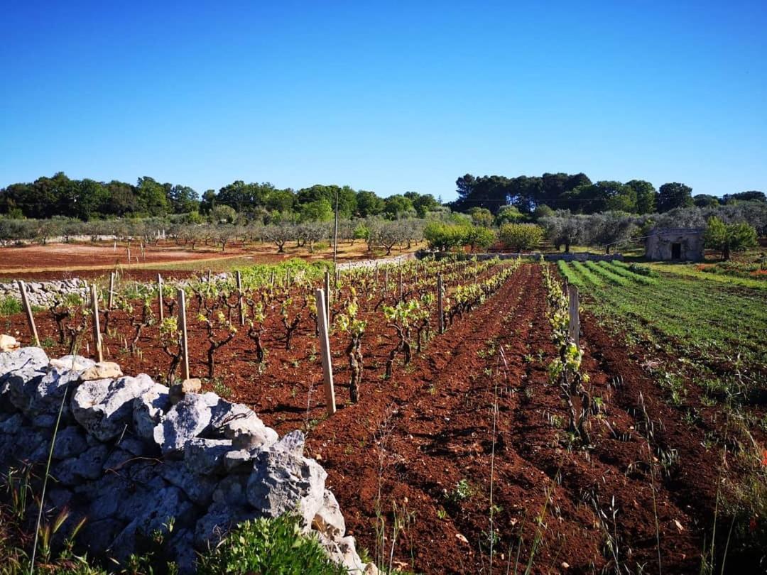Dimora Verde B Con Trullo Masseria Poesia Cisternino Room photo